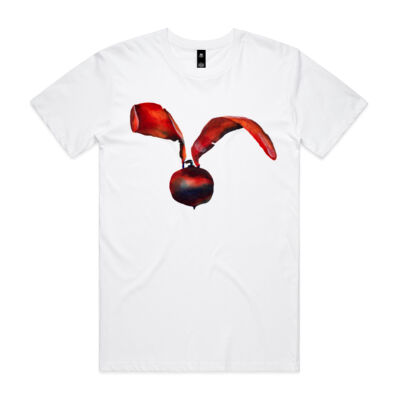 Dipterocarpus Kerii  Dipterocarpus Kerii  Thumbnail