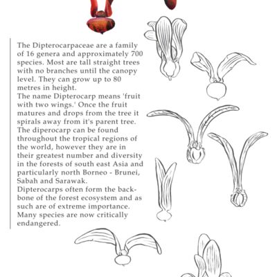 text for back of t2 Thumbnail