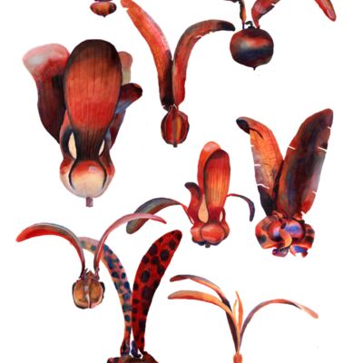 t towel dips Thumbnail