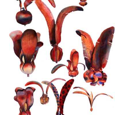 t towel dips4 Thumbnail