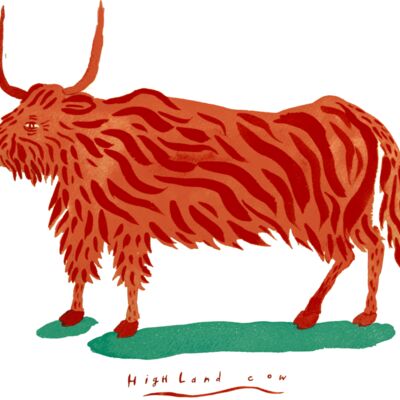 highland cow 2 Thumbnail