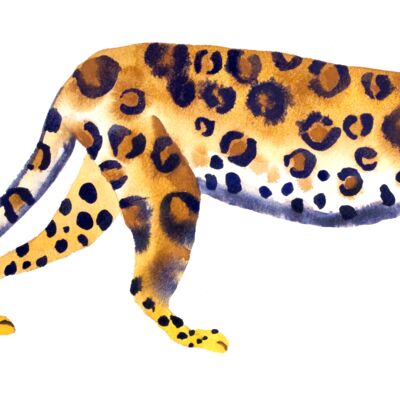 leopard Thumbnail