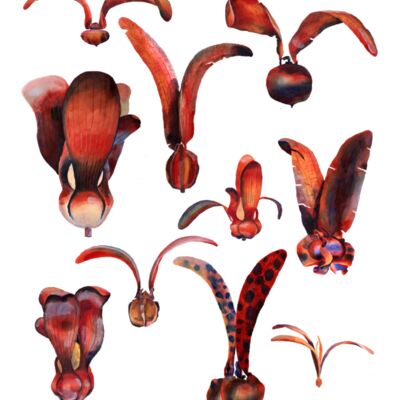 t towel dips5 no text Thumbnail